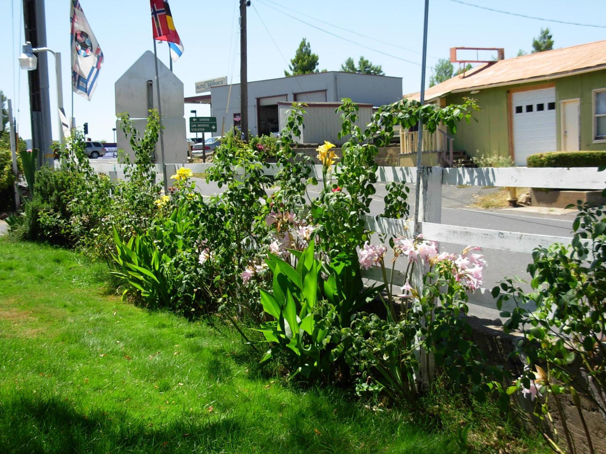 Jumping Frog Motel Angels Camp Exterior foto